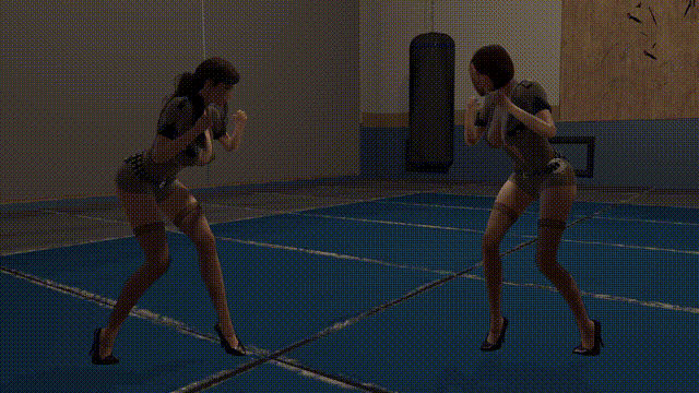 BoxingBetweenGirlsn拳击女孩3.0 (2).gif