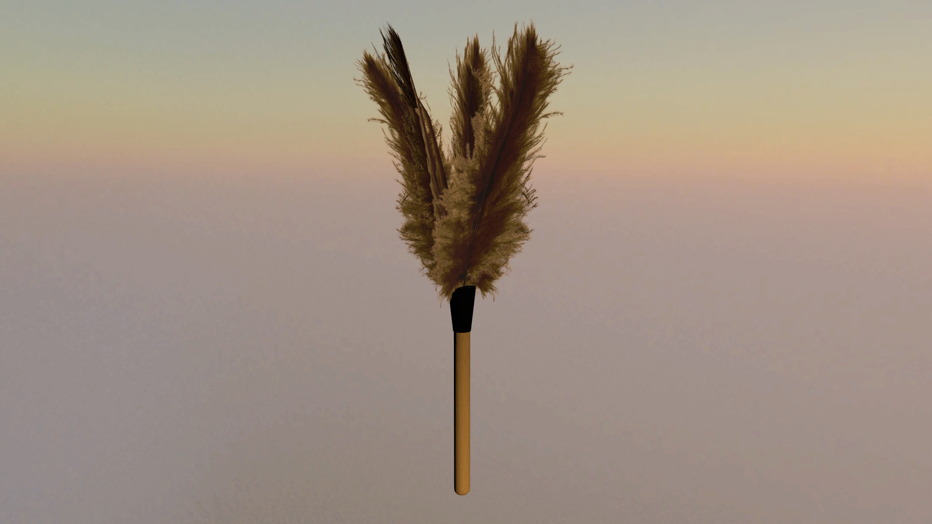 feather_duster.jpg