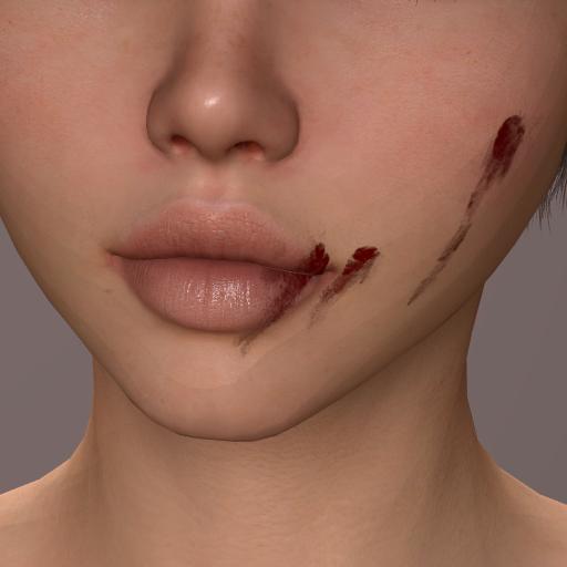 Layered Makeup Lips Outline_Blood4.jpg