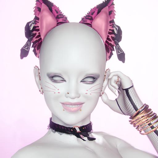 Preset_VRD_Kitty1_Makeup_Accessories.jpg