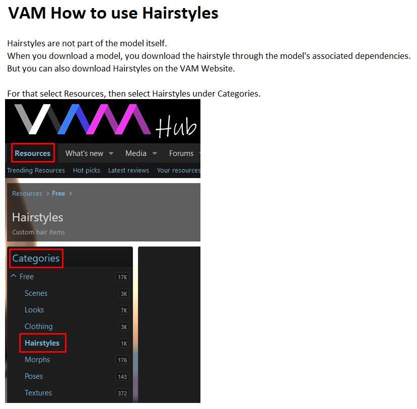 VAM How to use Hairstyles Part01.JPG