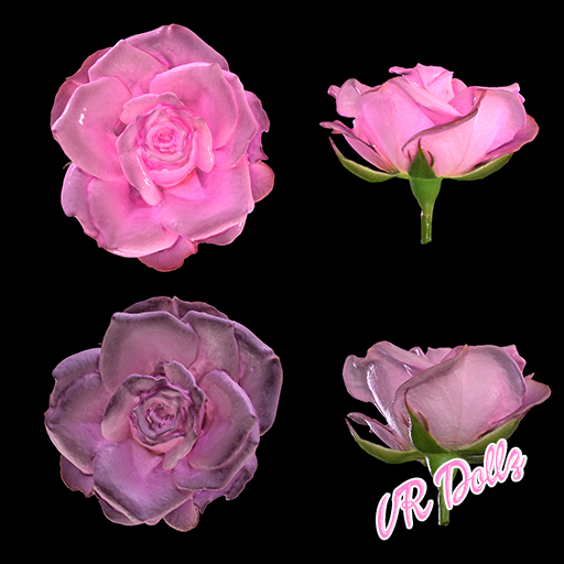 VRD pink rose.jpg