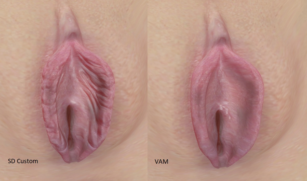 Hand painted normal map vs Vams default base female normal map