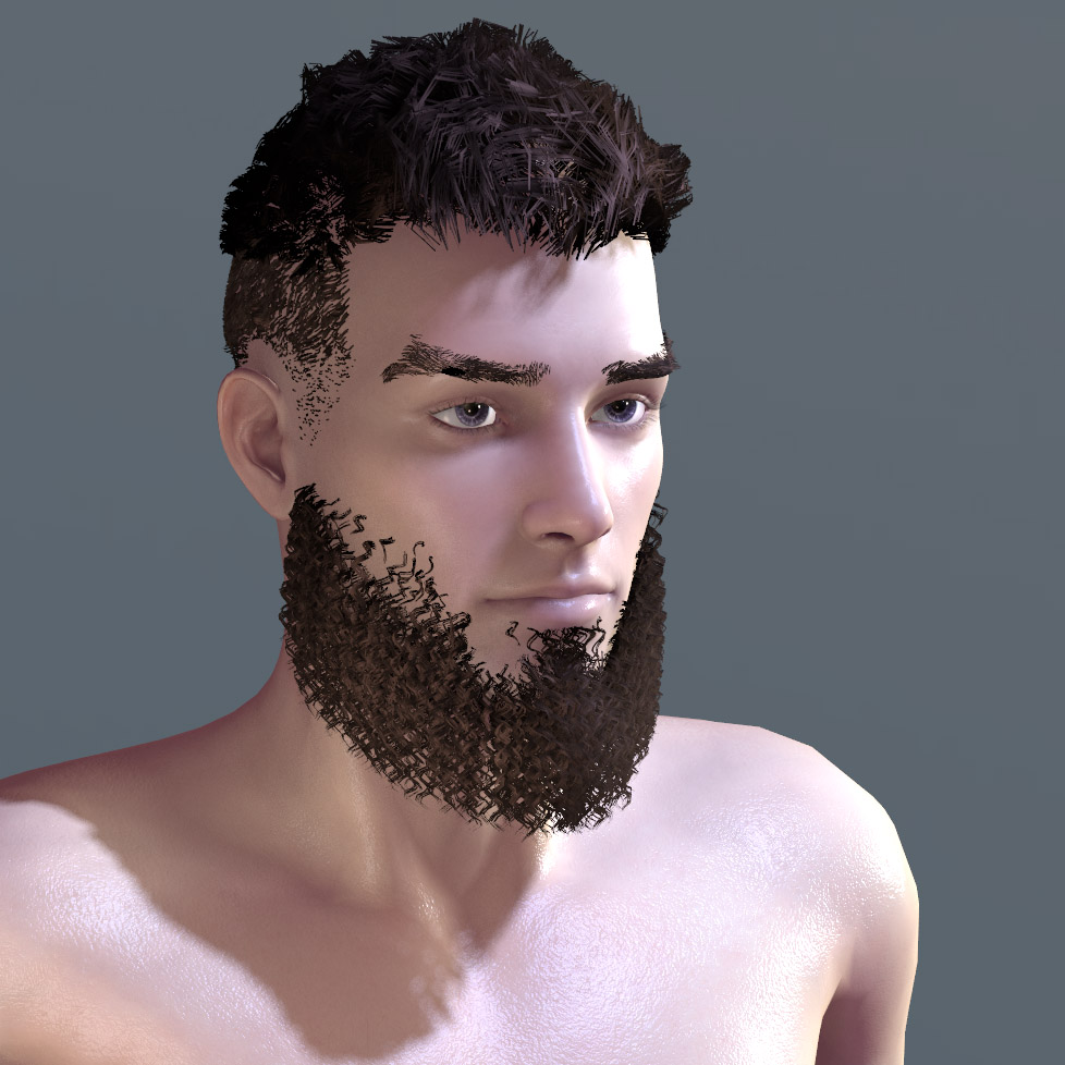 preview-beard_0012_L 05.jpg