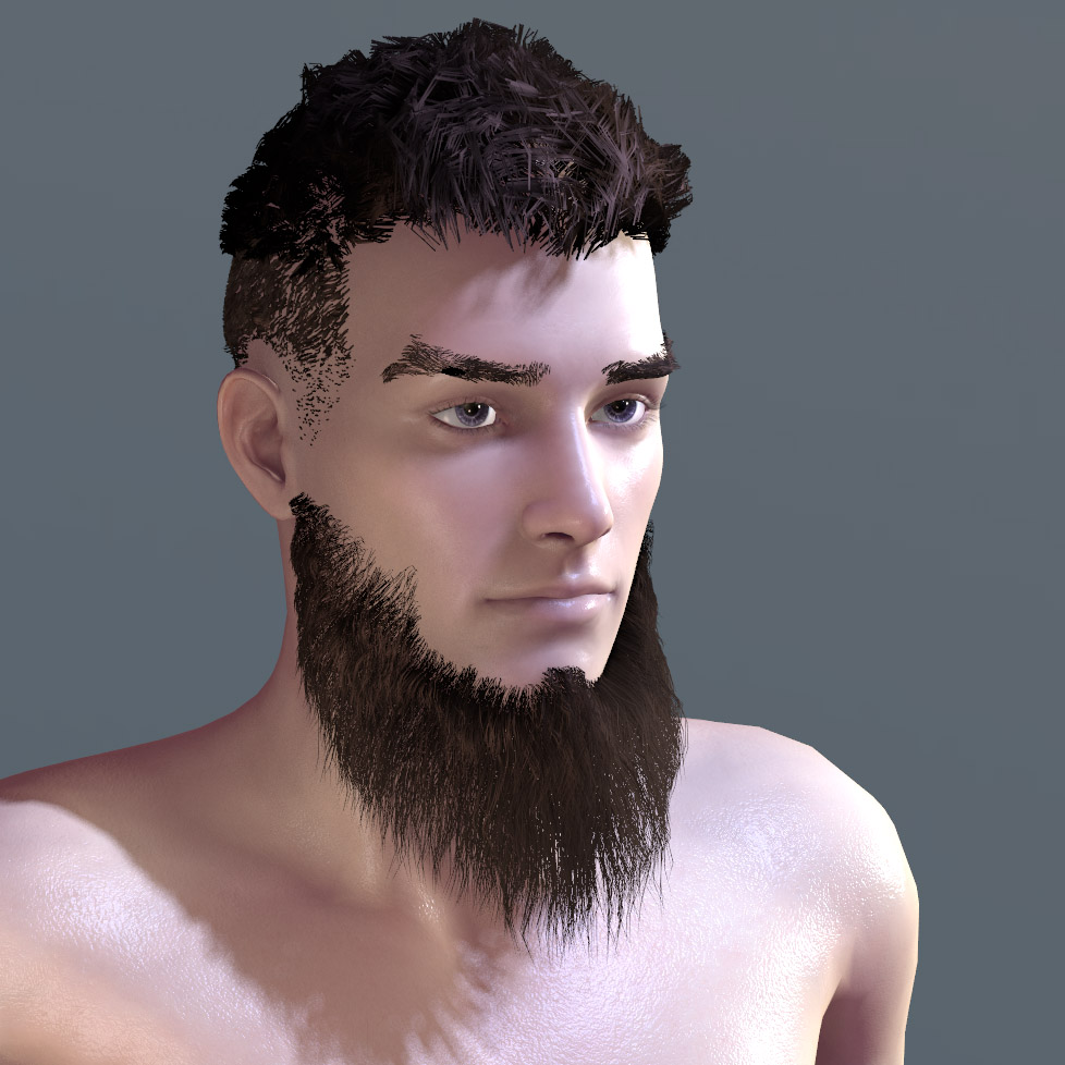 preview-beard_0024_L 17.jpg